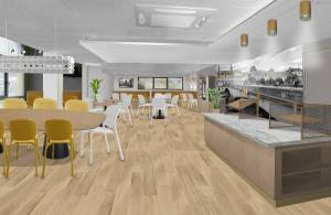 Claire LENEVEU - CLAIRE LENEVEU